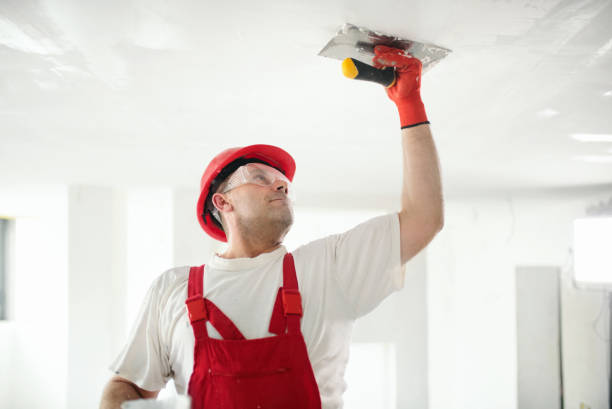 Best Drywall Crack Repair  in Oronogo, MO